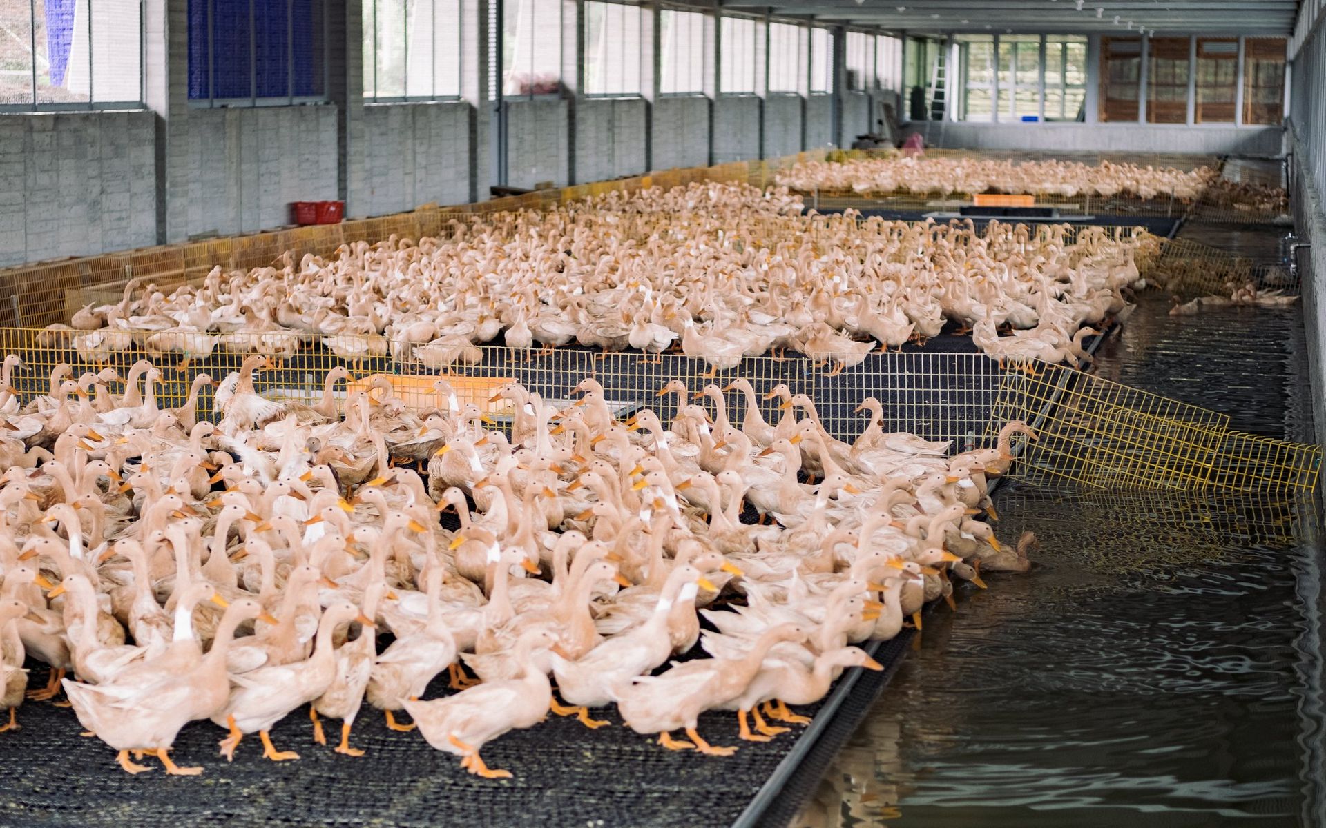 <br /><br />宜蘭甲鳥園