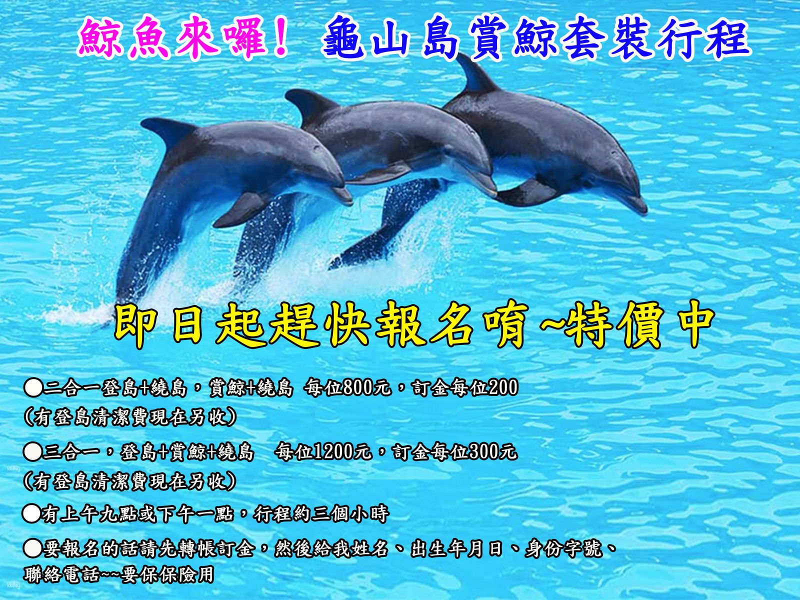 即日起趕快報名唷~特價中